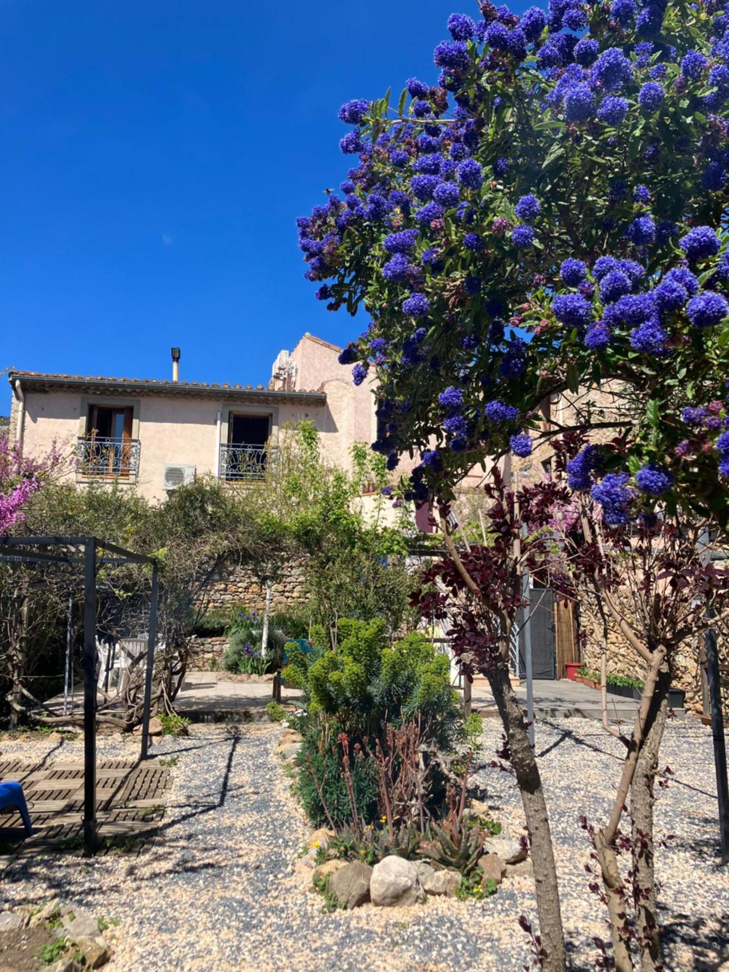 Chambres D'Hotes : Les Maisons De Gaia Tuchan Exterior photo